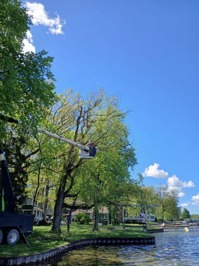 Backwoods Tree Co. - Jackson, MI