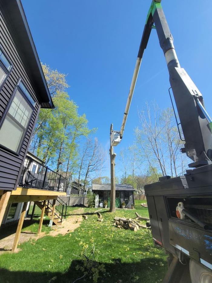 Backwoods Tree Co. - Jackson, MI