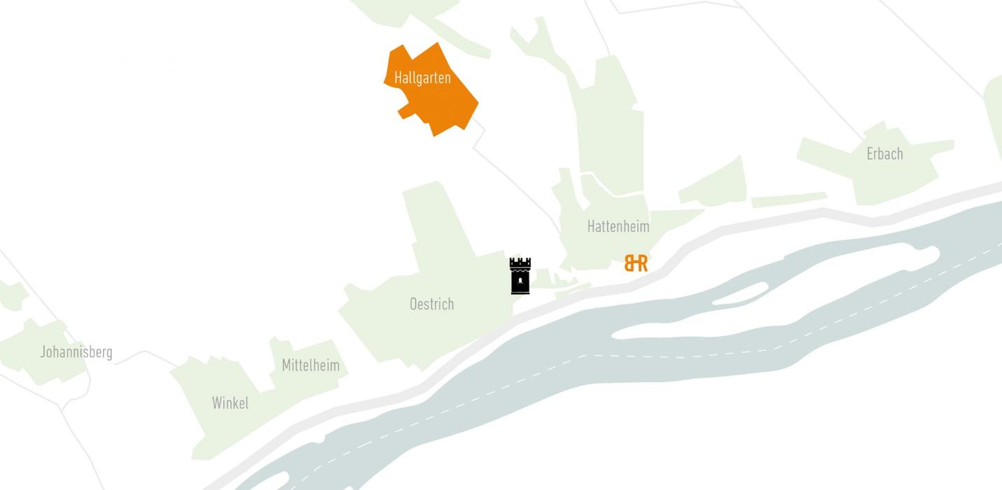 Balthasar Ress Weingut KG, Rheinallee in Eltville am Rhein