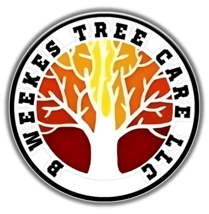 B Weekes Tree Care - Sparrow Bush, NY