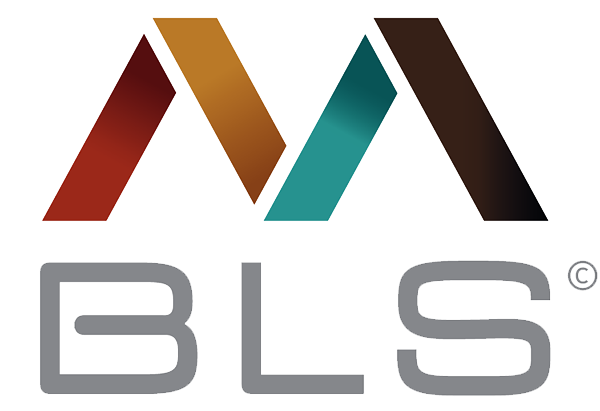 BLS Agencement Fabrication et commerce de gros