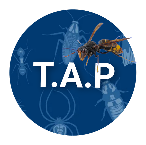 T.A.P. Traitement Anti Parasites service pour animaux