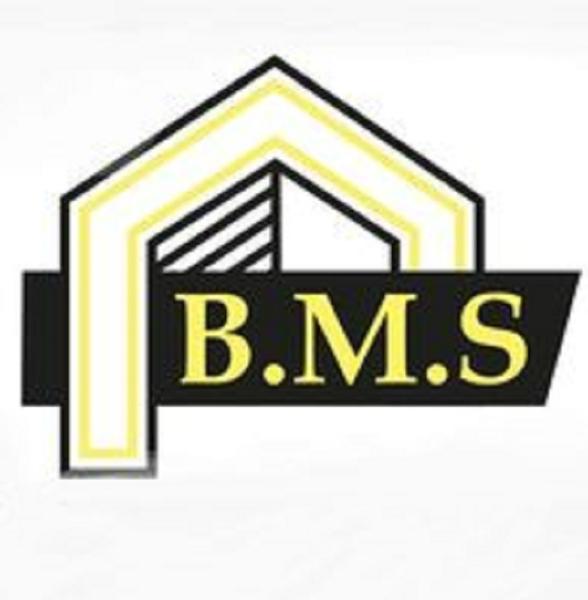 B.M.S Expert