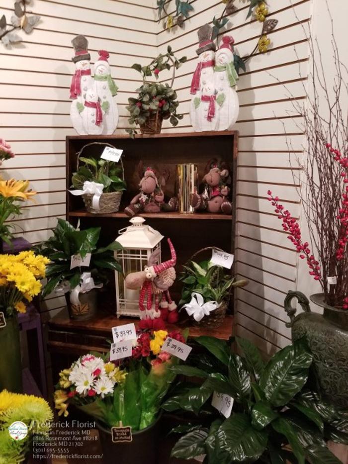 The Flower Bucket Image