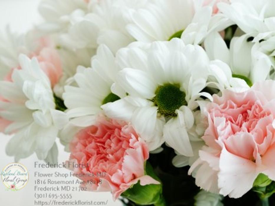 The Flower Bucket Image