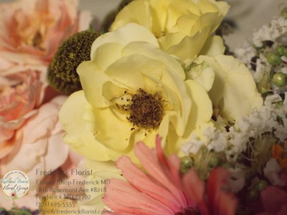 The Flower Bucket Image