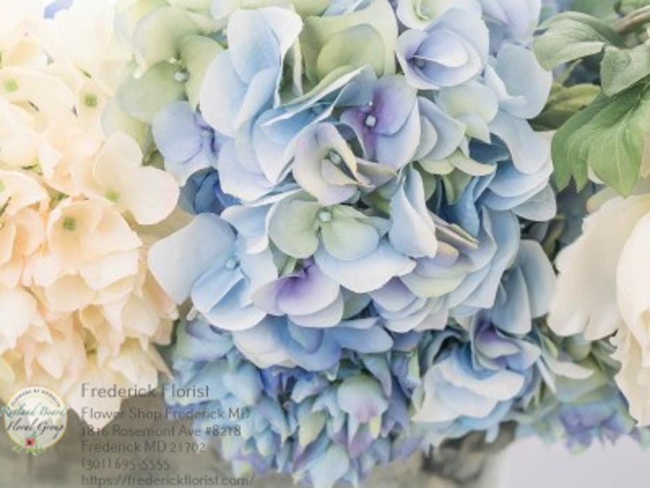 The Flower Bucket Image