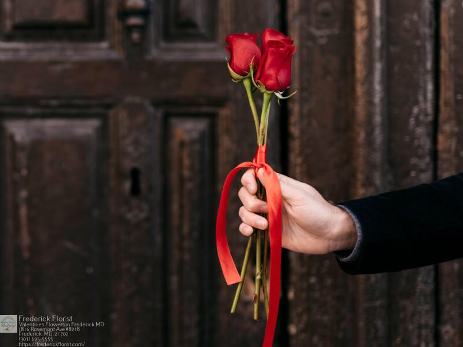 The Flower Bucket Image