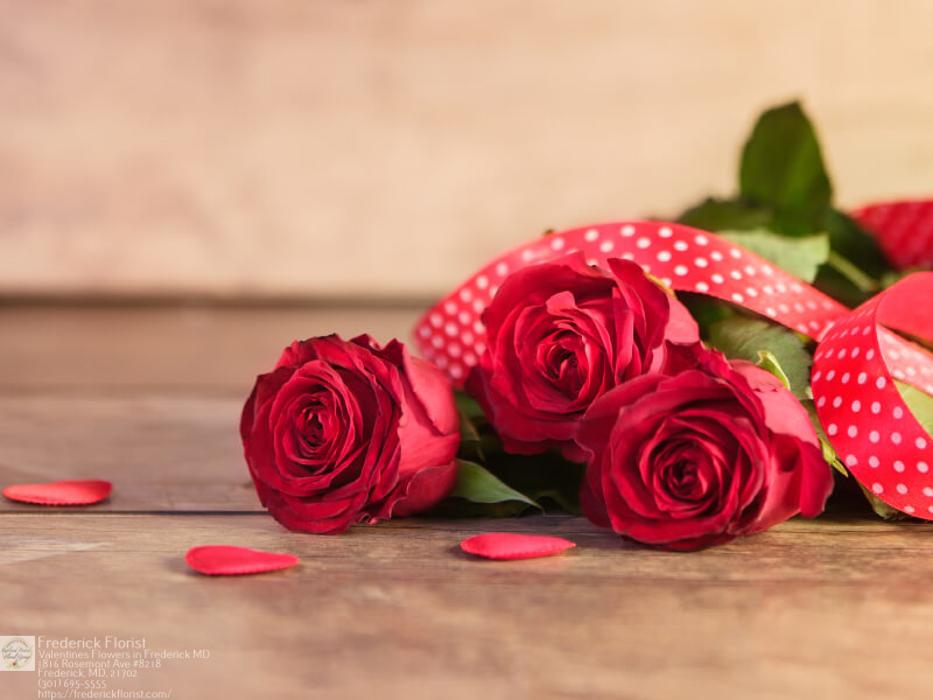 The Flower Bucket Image