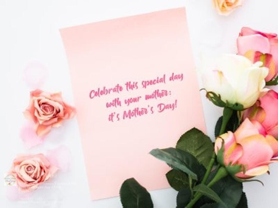 The Flower Bucket Image