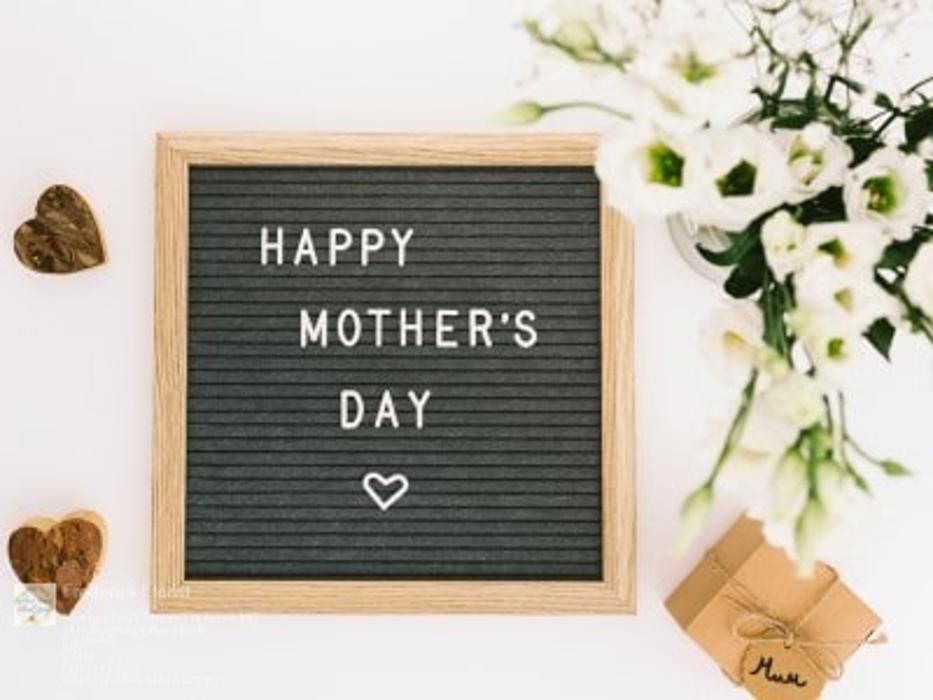 The Flower Bucket Image