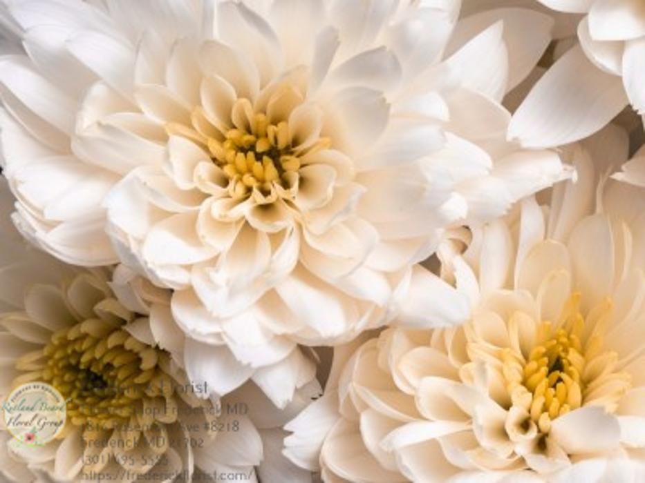 The Flower Bucket Image