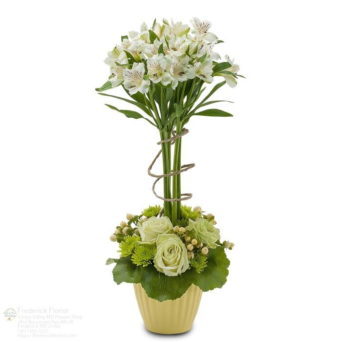 The Flower Bucket Image