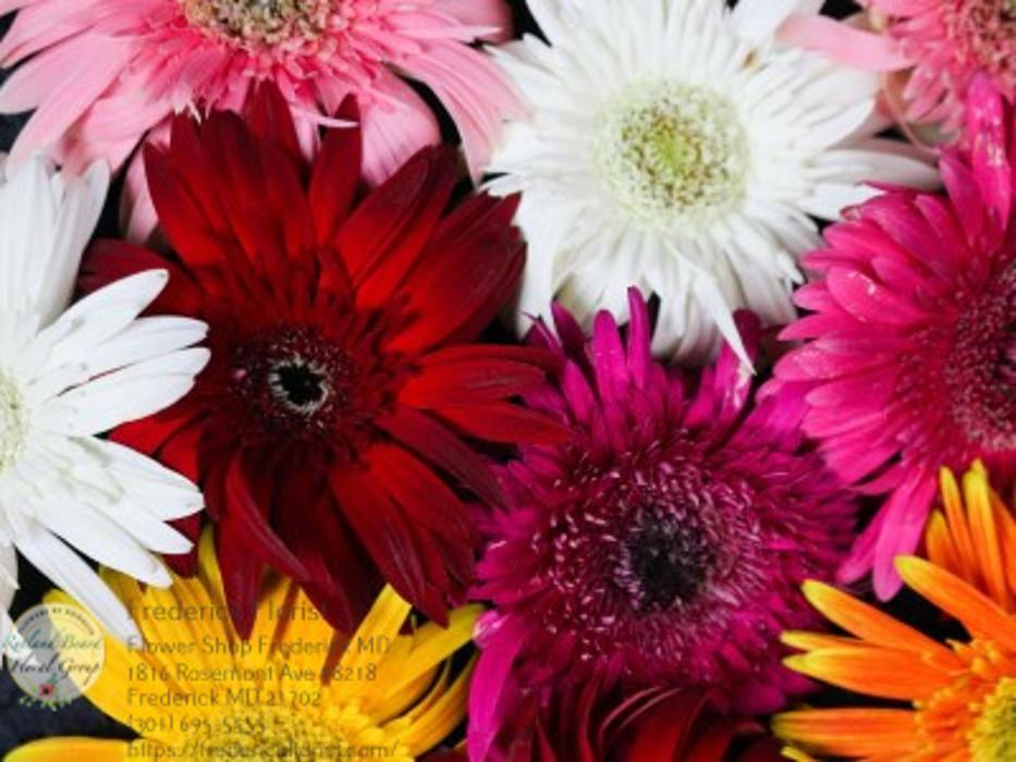 The Flower Bucket Image