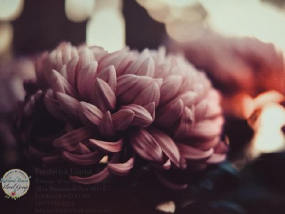 The Flower Bucket Image