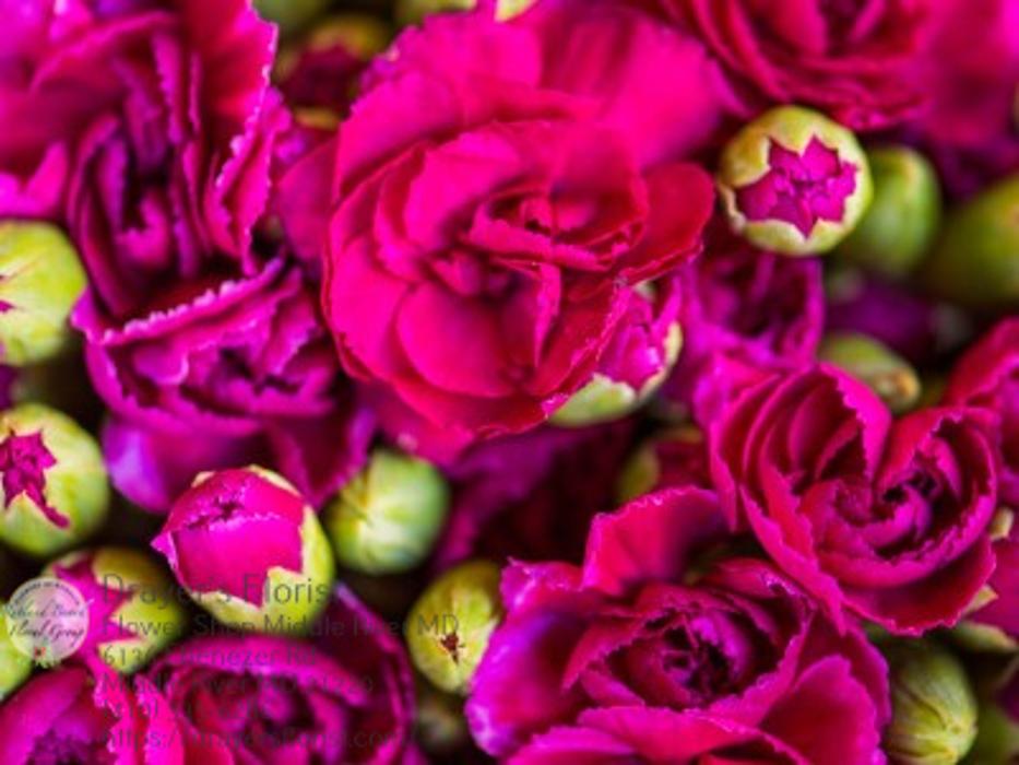 The Flower Bucket - Middle River, MD