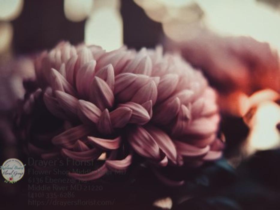 The Flower Bucket - Middle River, MD