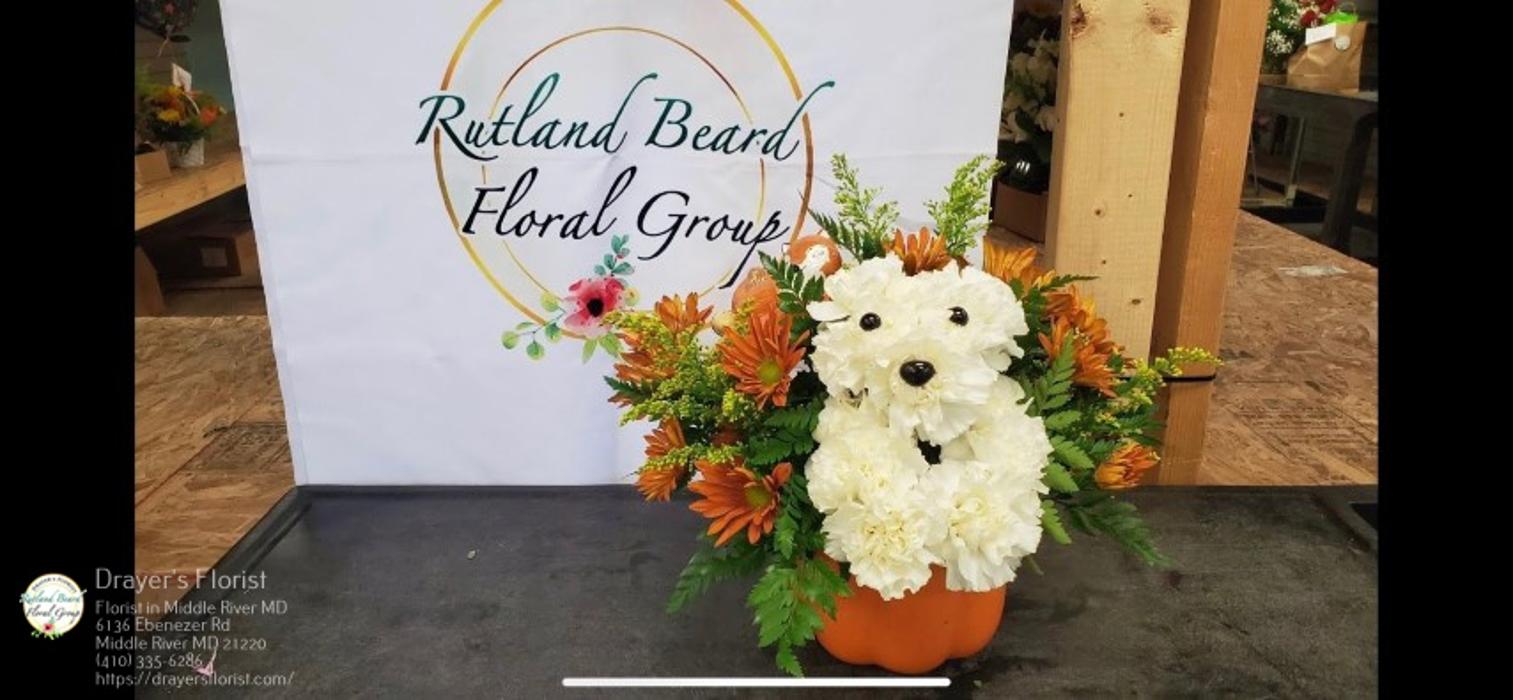 The Flower Bucket - Middle River, MD