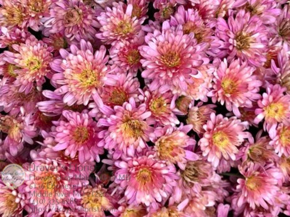 The Flower Bucket - Middle River, MD