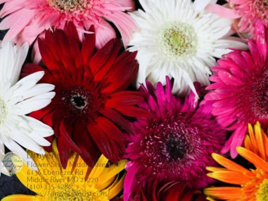 The Flower Bucket - Middle River, MD