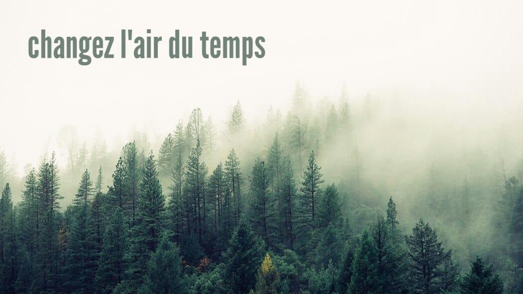 Treebreathe Sàrl, Chemin de la Mortivue in Semsales