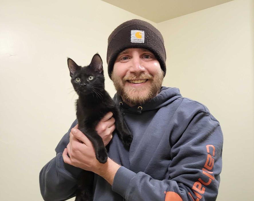 Happy Cats Haven - Manitou Springs, CO