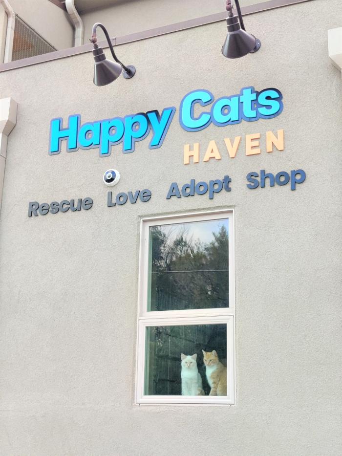 Happy Cats Haven - Manitou Springs, CO