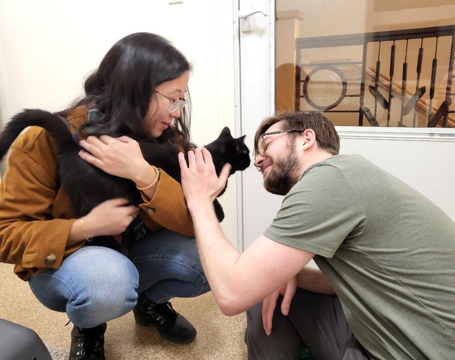 Happy Cats Haven - Manitou Springs, CO