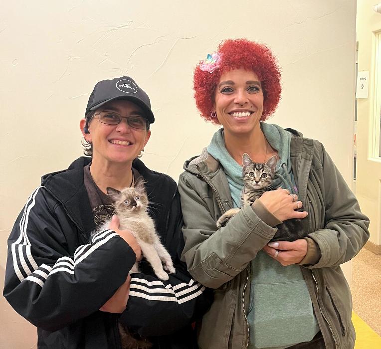 Happy Cats Haven - Manitou Springs, CO