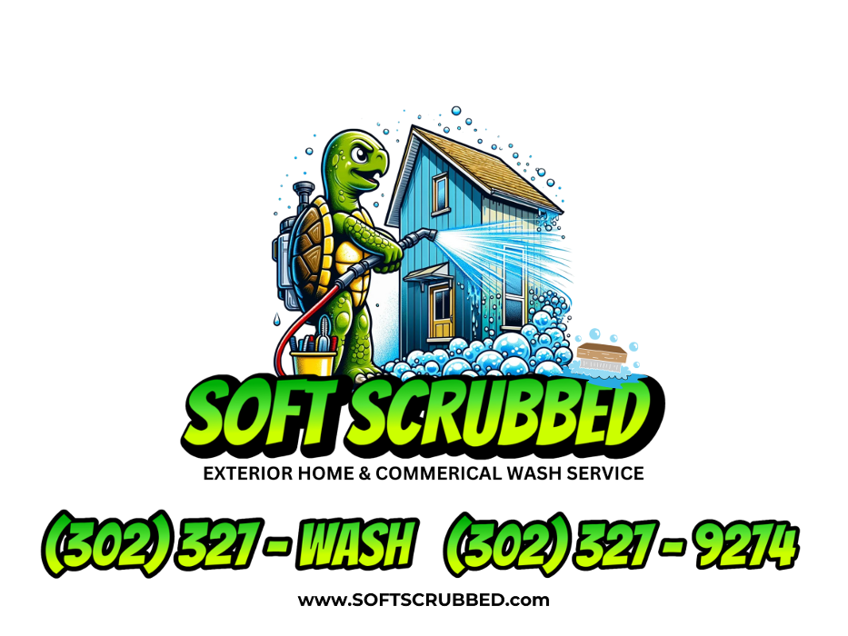 Soft Scrubbed - Harbeson, DE