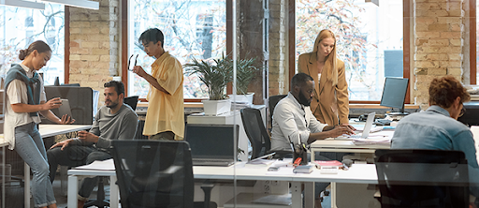 Outrageous Digital - Orion, MI