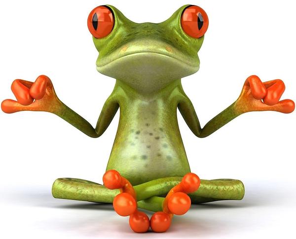 Yoga de l'energie Expert