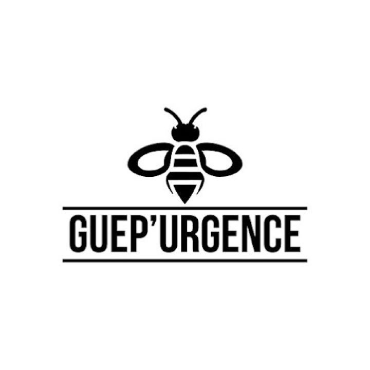 Guepurgence