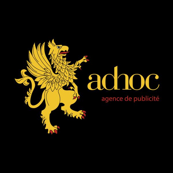 Adhoc Expert