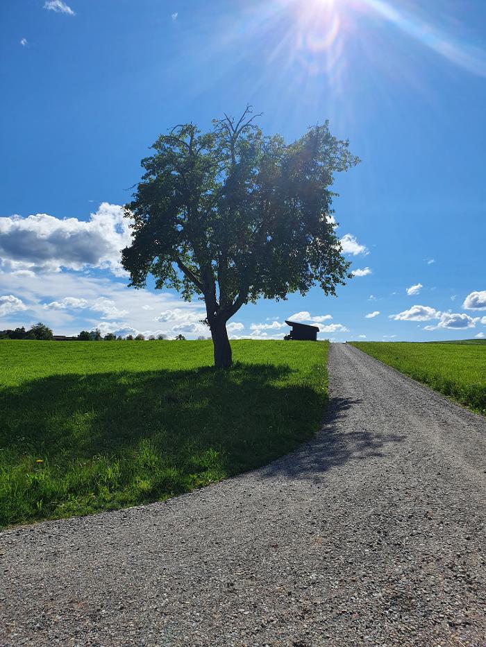 Oasis de Shunnd Inh. Fiona Braunschweig, Kapellgasse in Arbon