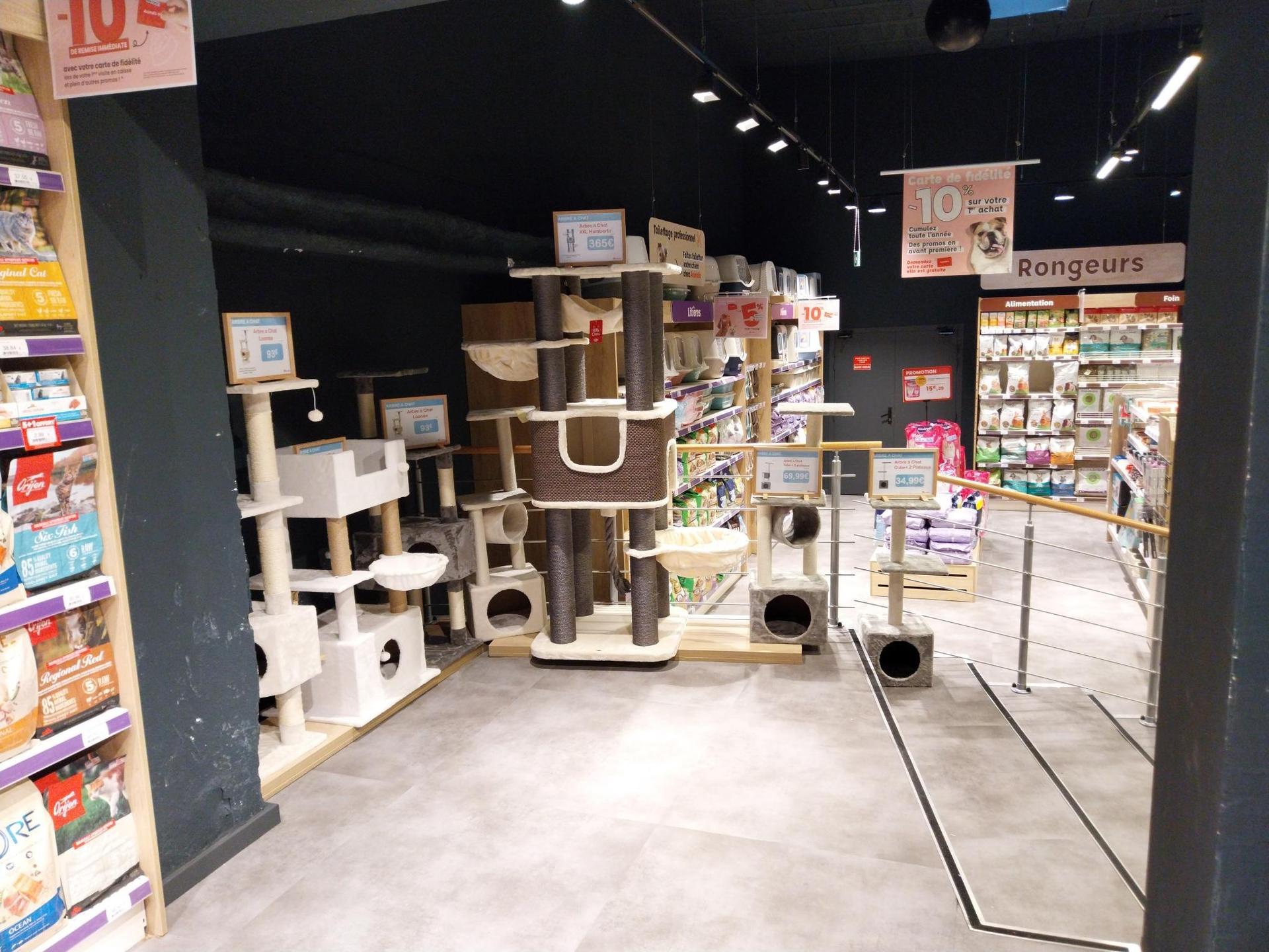 galerie image