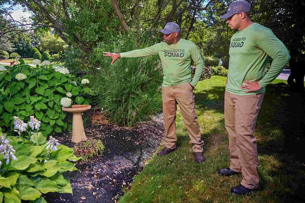 Mosquito Squad of New Hampshire Lakes Region - Tilton, NH