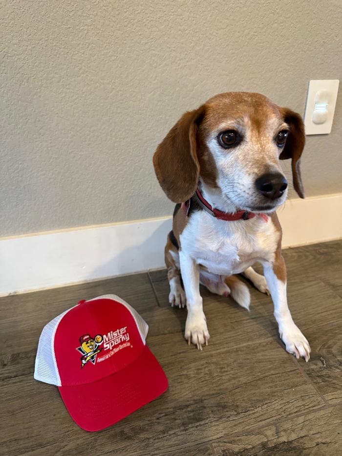 Mister Sparky of Fort Wayne - Fort Wayne, IN