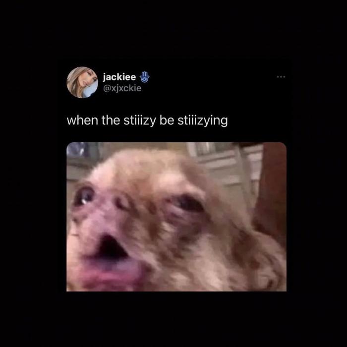 STIIIZY Suisun City