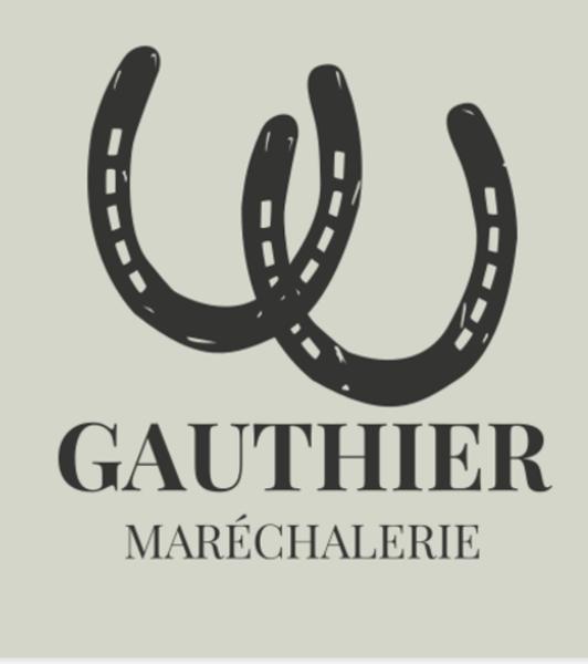 Gauthier Marechalerie Expert