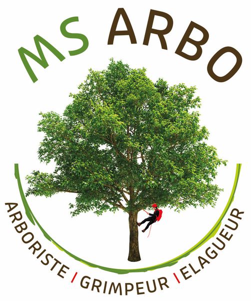 MS Arbo travaux agricoles