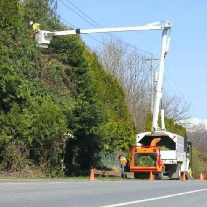 MFA Tree Specialist - Pell City, AL