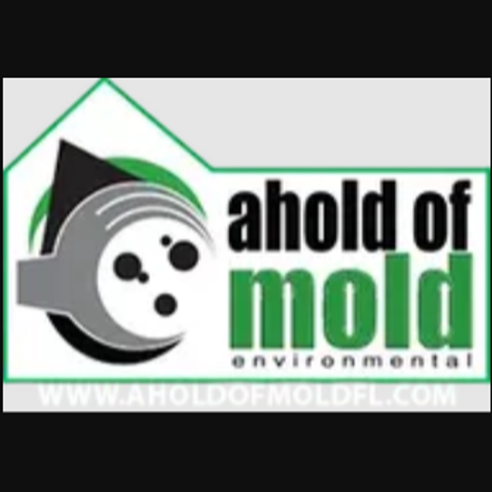 Ahold of Mold Environmental of Florida - Ormond Beach, FL