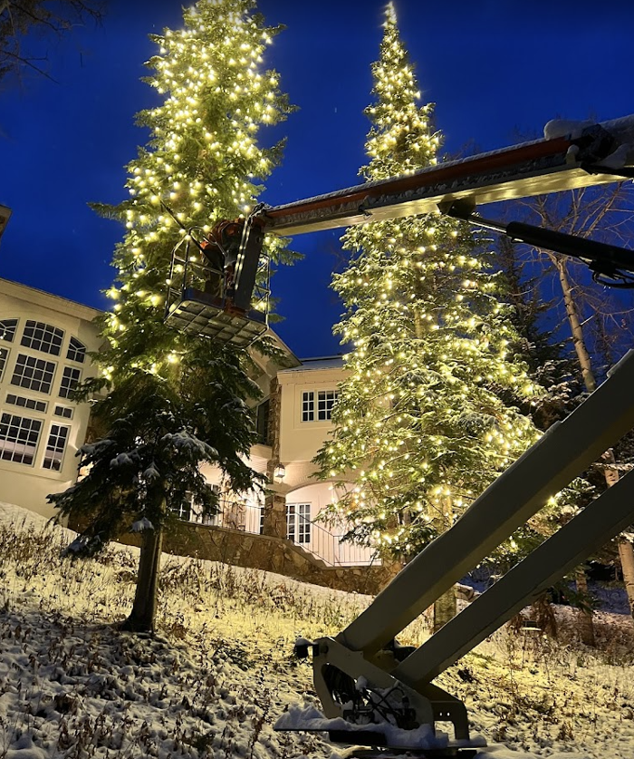 Leatherback Lighting - Longmont, CO