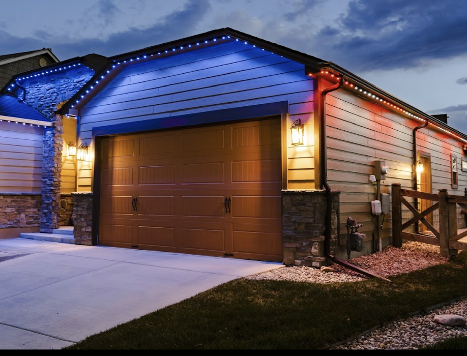 Leatherback Lighting - Longmont, CO