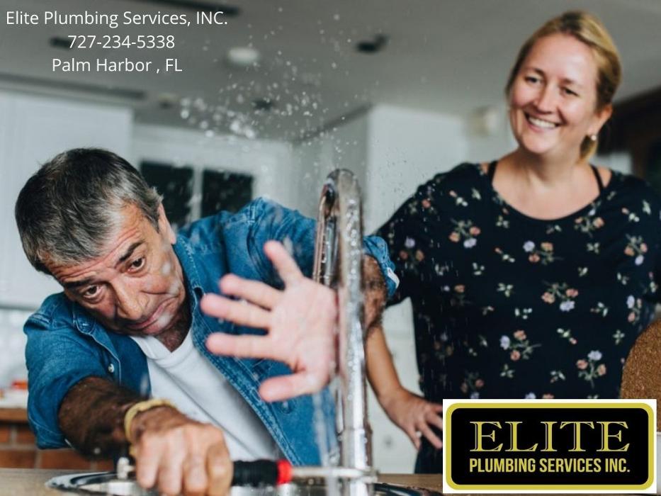 Elite Plumbing Services, Inc. - Palm Harbor, FL