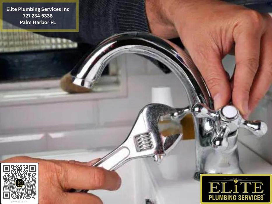Elite Plumbing Services, Inc. - Palm Harbor, FL
