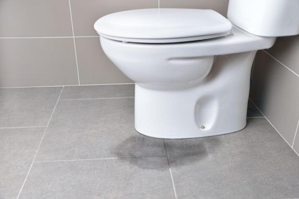 Elite Plumbing Services, Inc. - Palm Harbor, FL