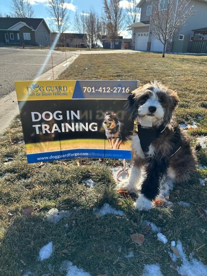 Dog Guard of Fargo Image