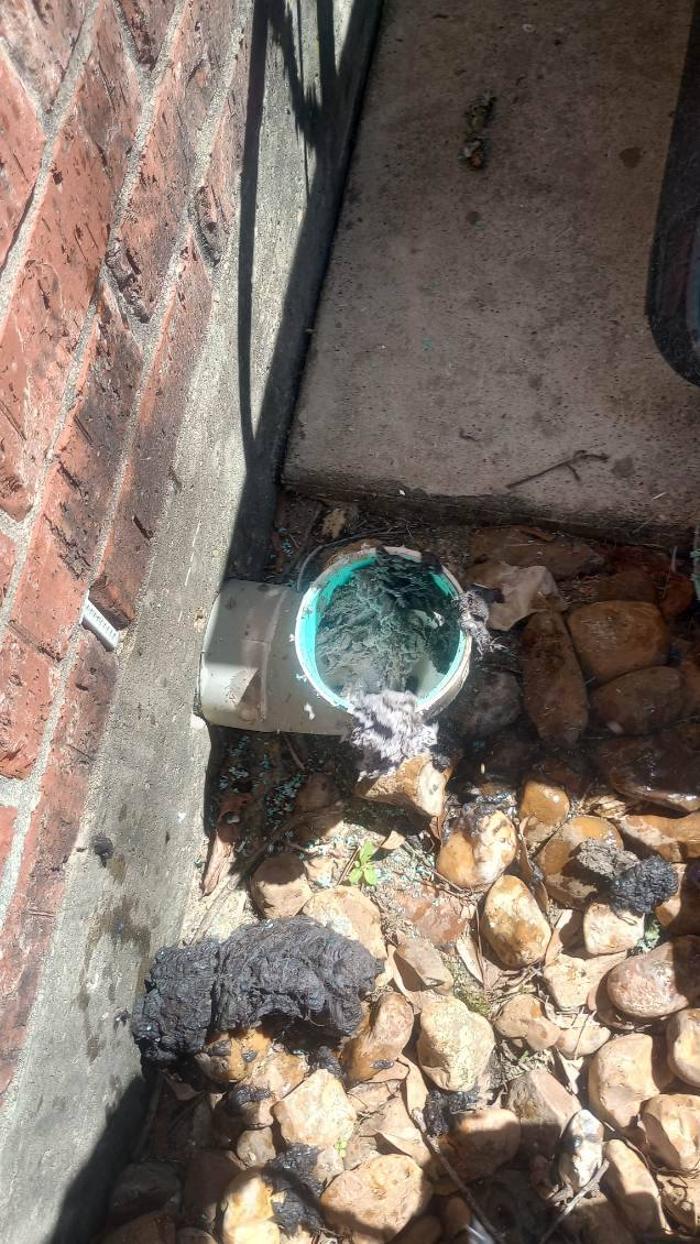 D&N Economy Plumbing, LLC Image